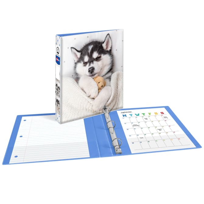 Dog ring binder deals